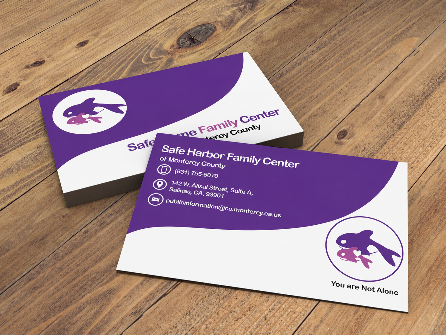 Safe Harbor brand identity board