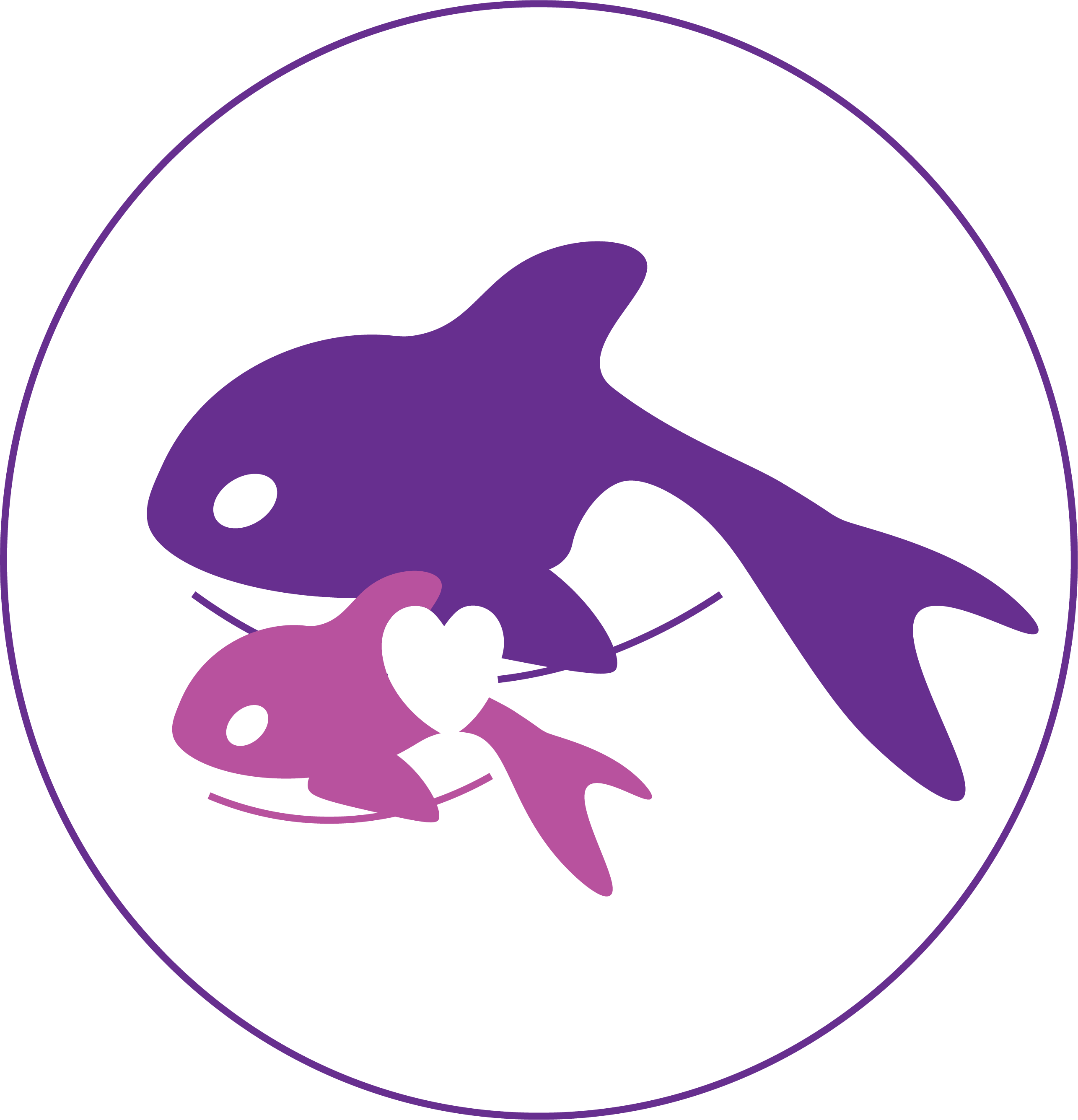Safe Harbor orca logo